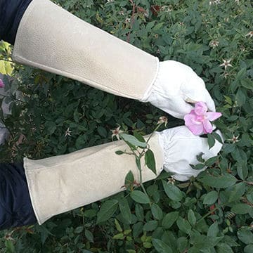 5 Useful Tools that Can Help You in Gardening: Gloves Protect Yout Hands