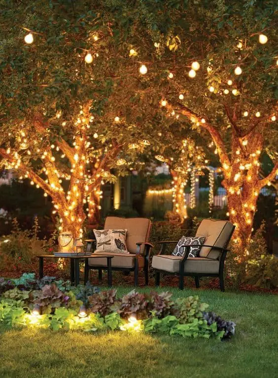 Bulb String Lights wrapped around trees #stringLights #ropeLights #lighting #lights #ledLights #stringLights #backyardLighting #outdoorLights #OutdoorLighting